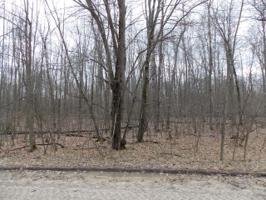 Lot 521 OAK RUN