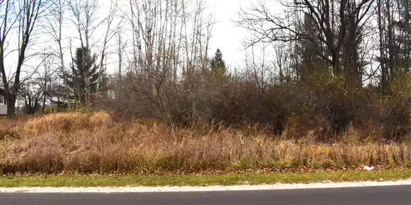 Lot 264 Linksview