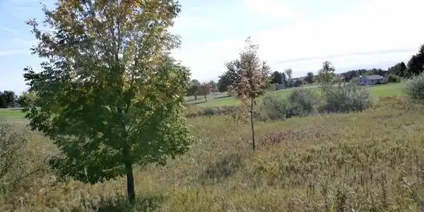 Lot 307 TRACK IRON TRAIL