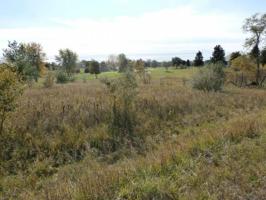 301 Lot TRACK IRON TRAIL
