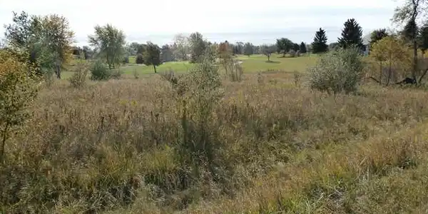 301 Lot TRACK IRON TRAIL