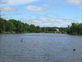 4 RIVER OAKS