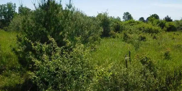 Lot 94 on HAMPTON DRIVE