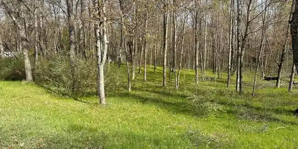 2060 Birch