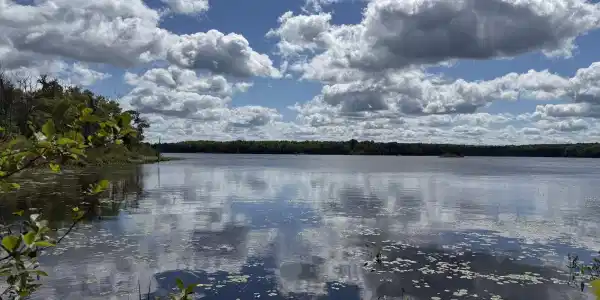 OFF Langford Lake Road