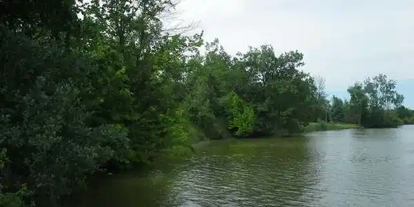 Waterfront SPICER ROAD