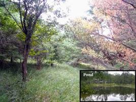 Lot 19 QUEENS WAY