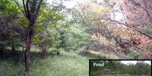 Lot 19 QUEENS WAY