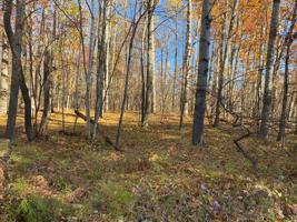 Lot 662 LAUREL LANE