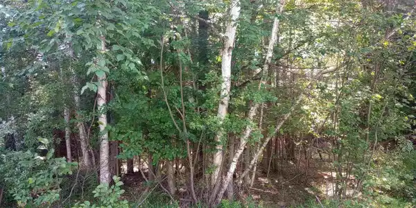 Lot 41 Sandbridge Court