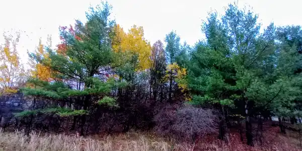 Lot 262 Islander Way