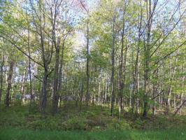 Lot A PINEWAY DRIVE