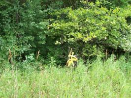 Lot 7 ROGERS LANE