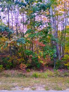 XX Riversterrace Road