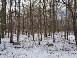 Lot 234 OAK RUN