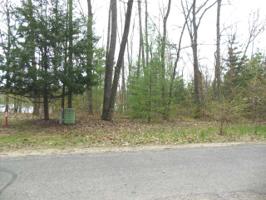 LOT 29 SHIRLEY ANN