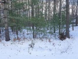 NHN WIXOM DRIVE