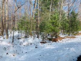 Lot 1 PINCONNING ROAD