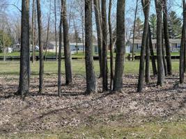 LOT 4 NORTHERN TRAIL