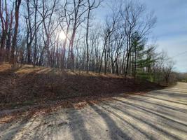 Lot 54 ELM RUN