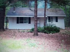 3161 Partridge