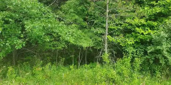 Lot 140 Robinhood Way