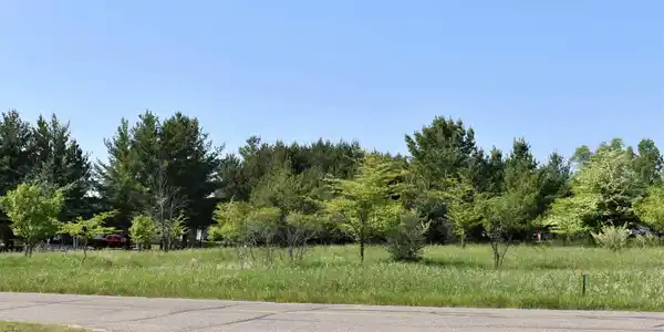 Lot 74 Winchester Way