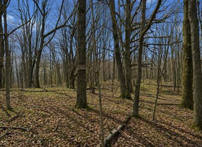 Lot 967 Cherry Road