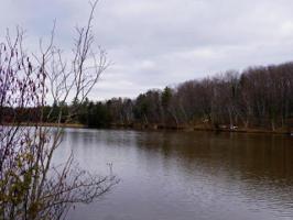 3.5 ACRES WHITNEY