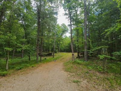 4537 Pine Run Road