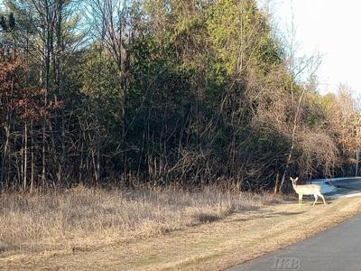 Lot 5 Castleview Court