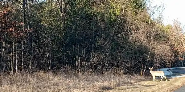Lot 5 Castleview Court