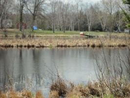 Tbd TIMBERLANE