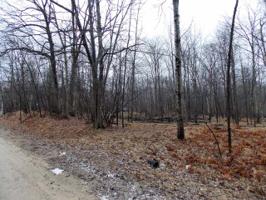 Lot 532 LAKE ROAD