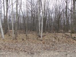 Lot 466 FAWN TERRACE