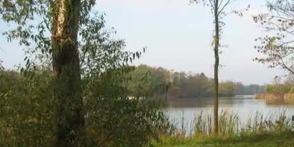 Parcel A LAKEVIEW