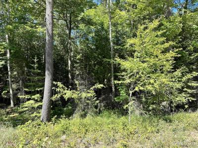 TBD Hemlock Views Trail