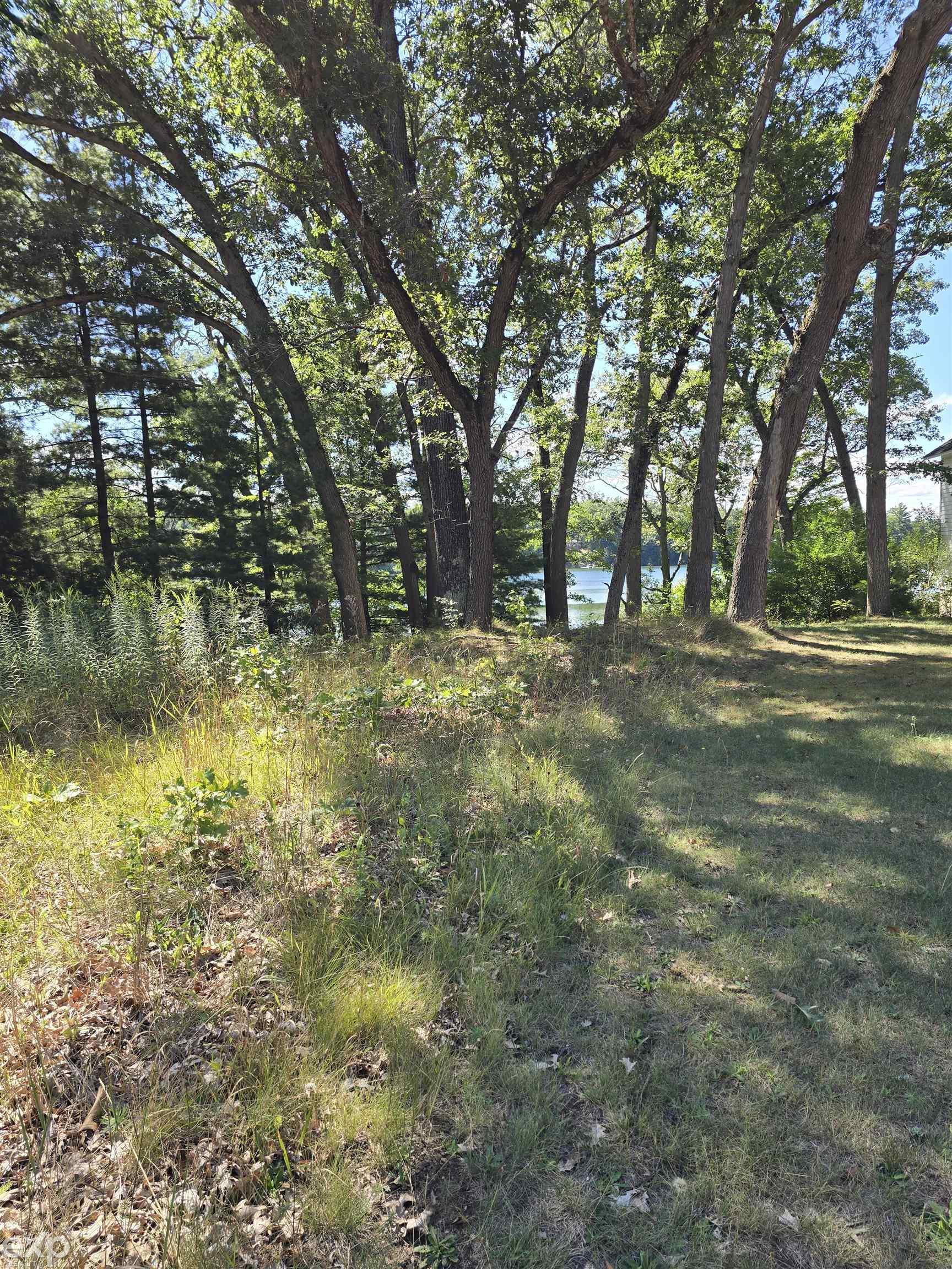 Image 3: looking from road