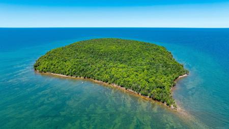 Wood Island Island