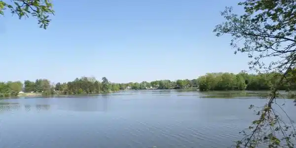 C NORTH BRANCH