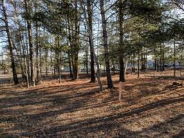 Lot 8 NORTHERN TRAIL