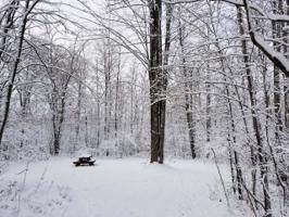 Lot 1222 PLUM TERRACE