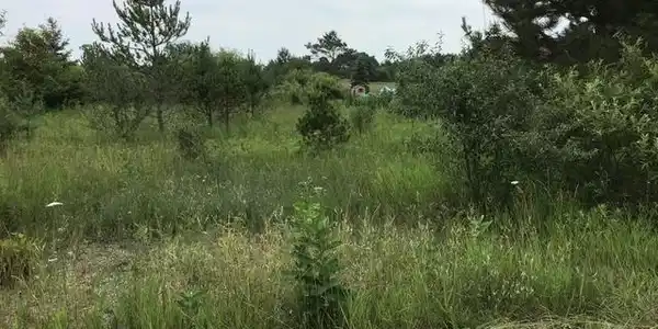 Lot 435 HIGHLAND