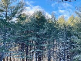 3817 Pinelands Pt