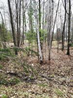 Lot #43 Pineway