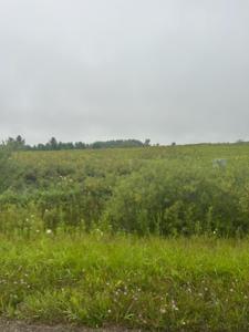 Lot 163 Fairfield