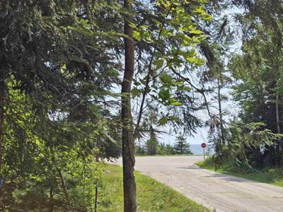 Lot 3 Hemlock View Trail