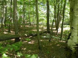 Lot 111 WEATHERBY COURT