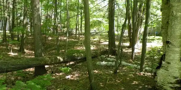 Lot 111 WEATHERBY COURT