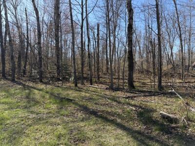 lot 183-186 Shadowbrook Drive